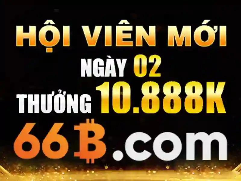Giới thiệu về 66B