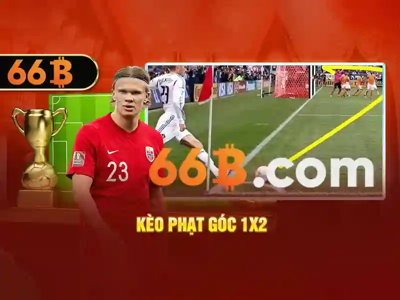 Những yếu tố cấu thành của 66b