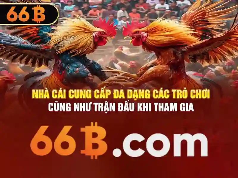 Tương lai của 66b