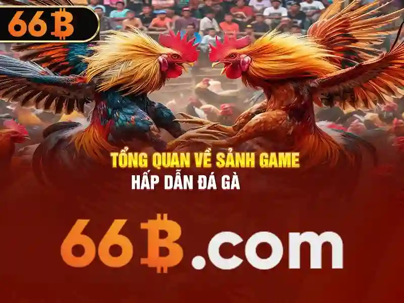 Rủi ro và cách quản lý của 66B