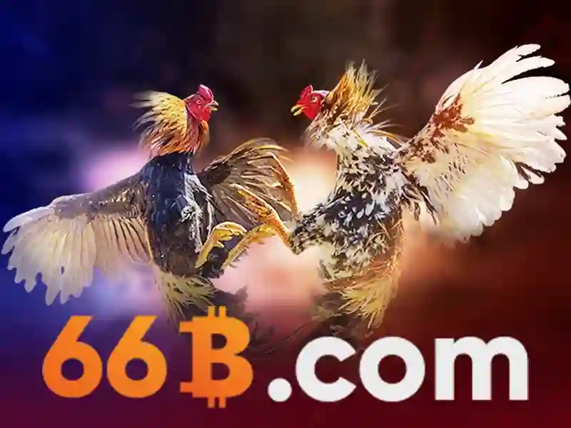 66b là gì