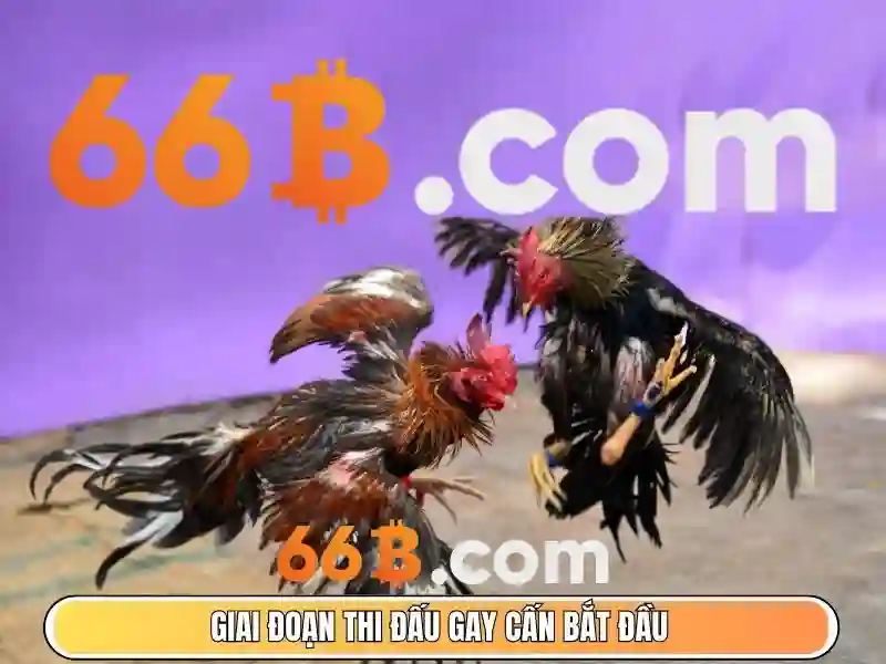 Phương pháp đo vòng ngực