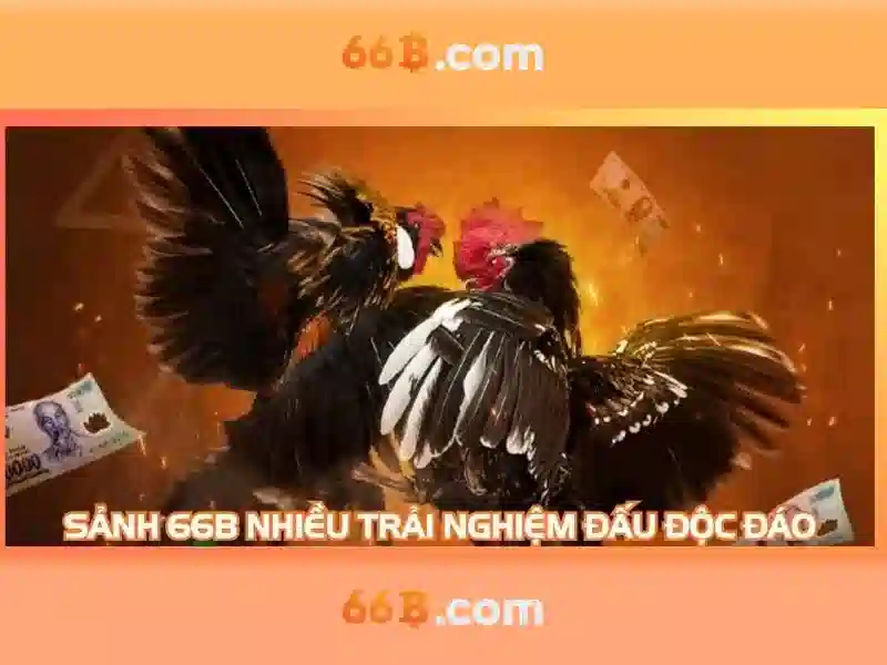 Ưu điểm của 66B so với các tùy chọn nhỏ hơn