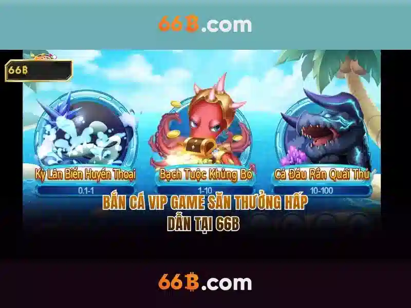 66B là gì?