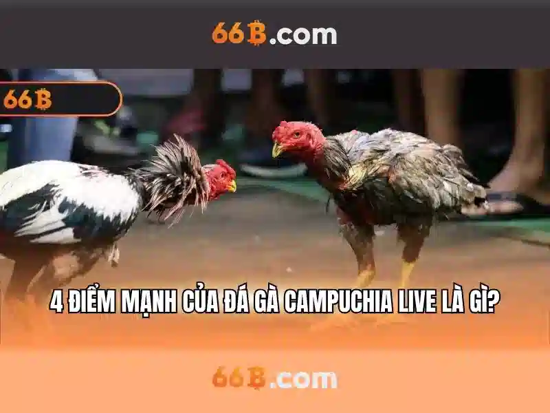66B: Mô hình ngôn ngữ 66 tỷ tham số và những gì nó mang lại