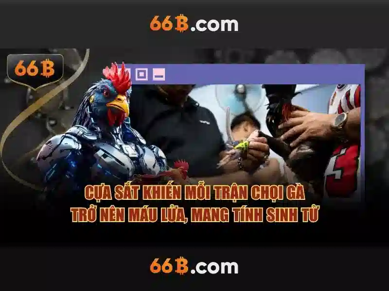 Giới thiệu về 66B