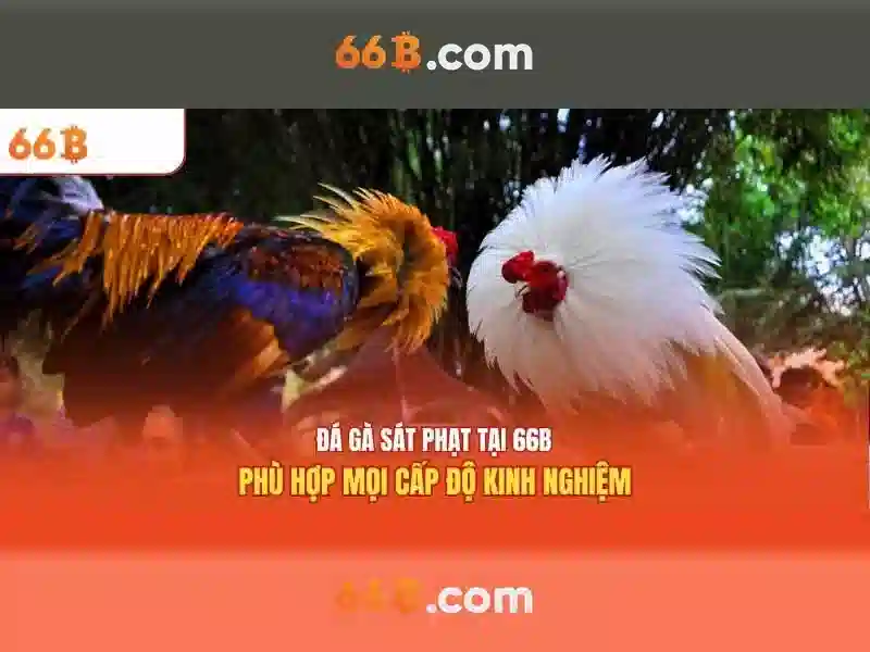 Hiệu suất, đào tạo và dữ liệu
