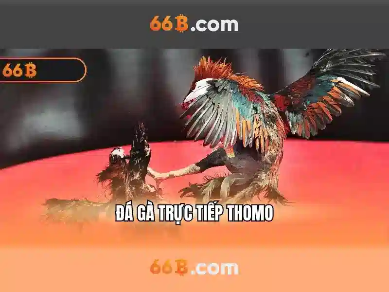 Độ tin cậy và thách thức
