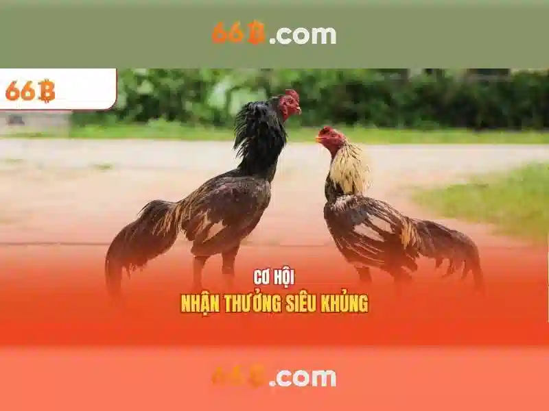 Nguồn gốc của 66b