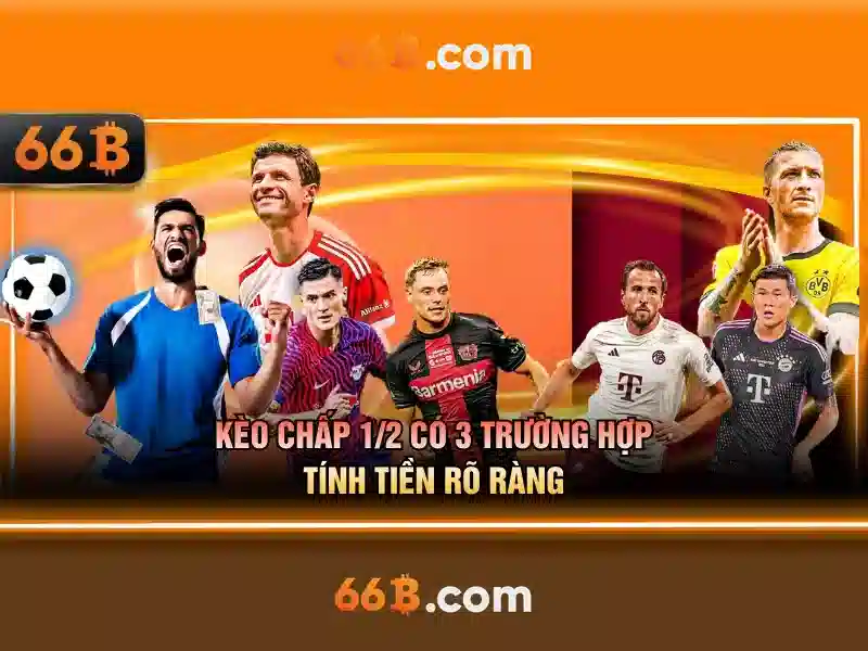 Thuật ngữ bắn cá