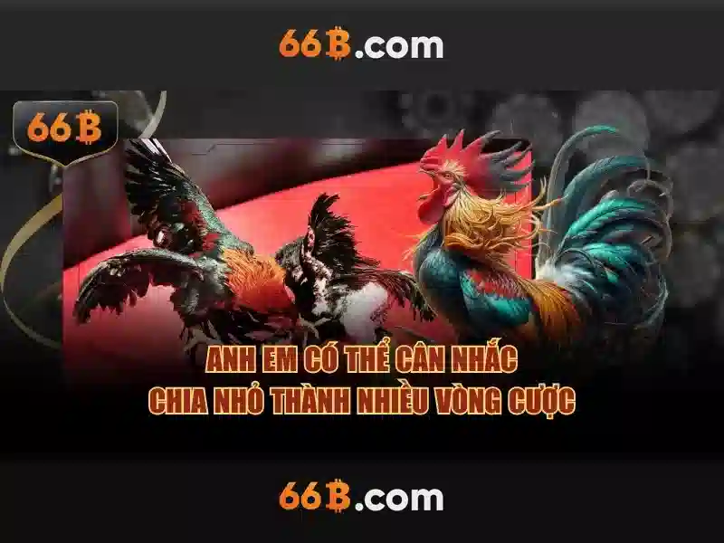 Sản phẩm và dịch vụ chính: 64b 66b encoding trong ứng dụng thực tế