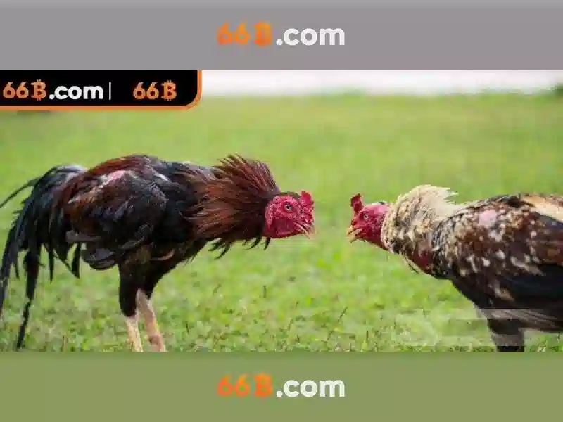 mơ thấy mẹ đã mất