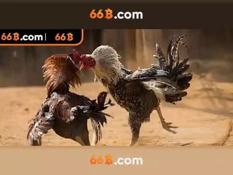 66B: Mô hình ngôn ngữ lớn 66 tỷ tham số