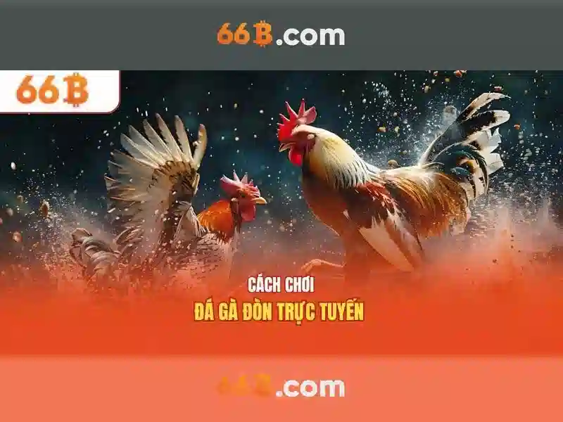 Thuật ngữ bắn cá