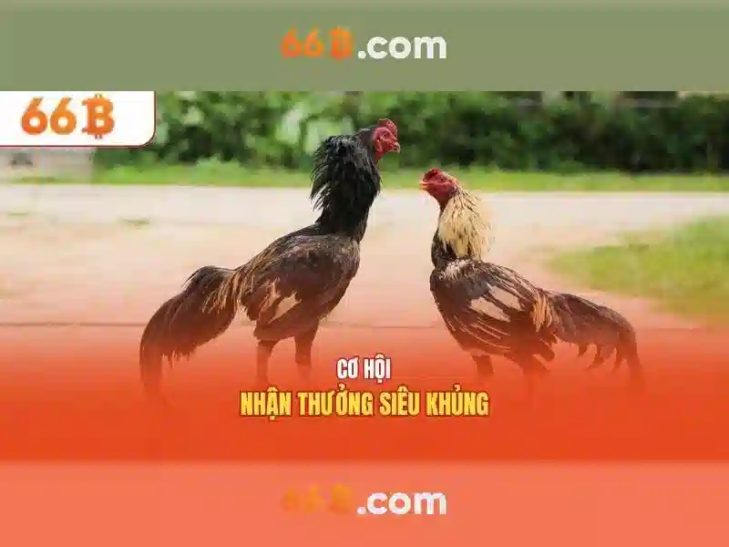 Kiến trúc và huấn luyện