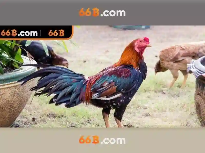 Động lực và dữ liệu huấn luyện