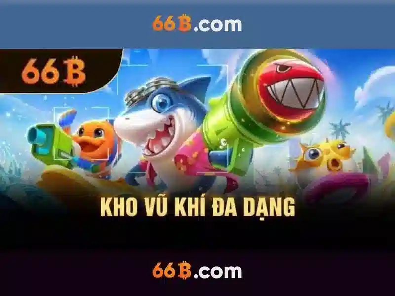 66B là gì?