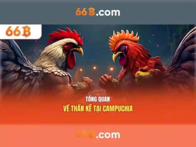 Thuật ngữ bắn cá