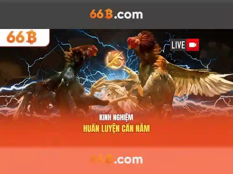 Kiến trúc và tham số của 66B