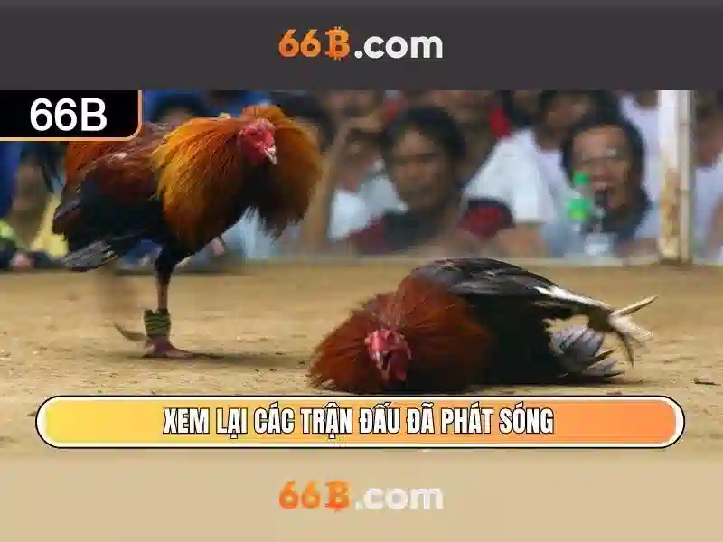 mơ thấy mẹ đã mất