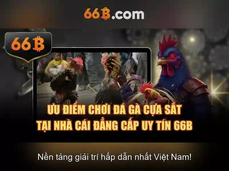 Giới thiệu về 66b