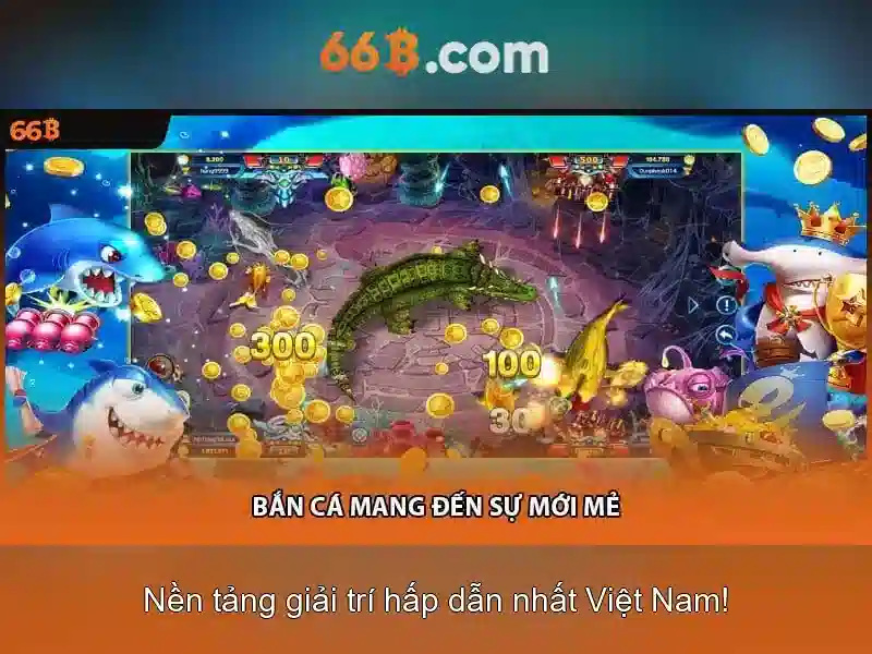 66B là gì?