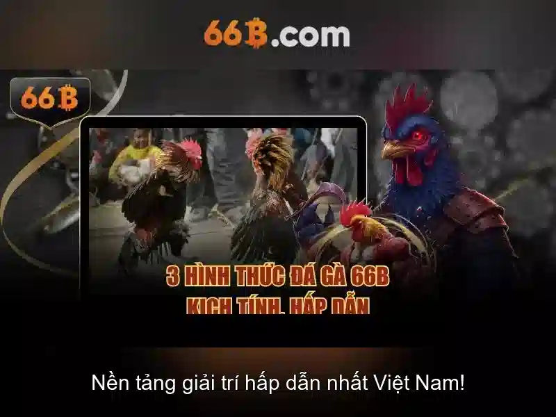66b và các ứng dụng của nó trong đời sống số
