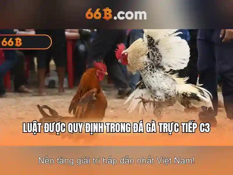 Thuật ngữ bắn cá