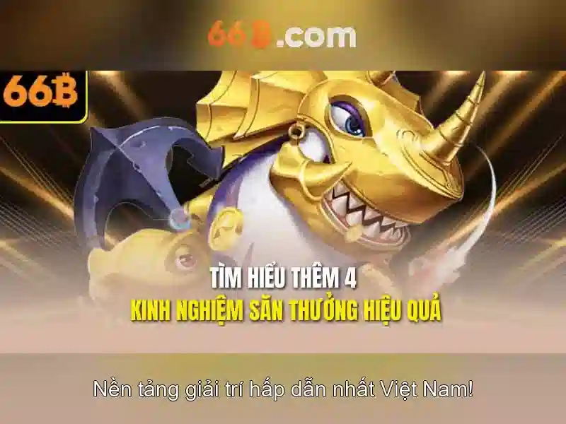66b và những điều căn bản