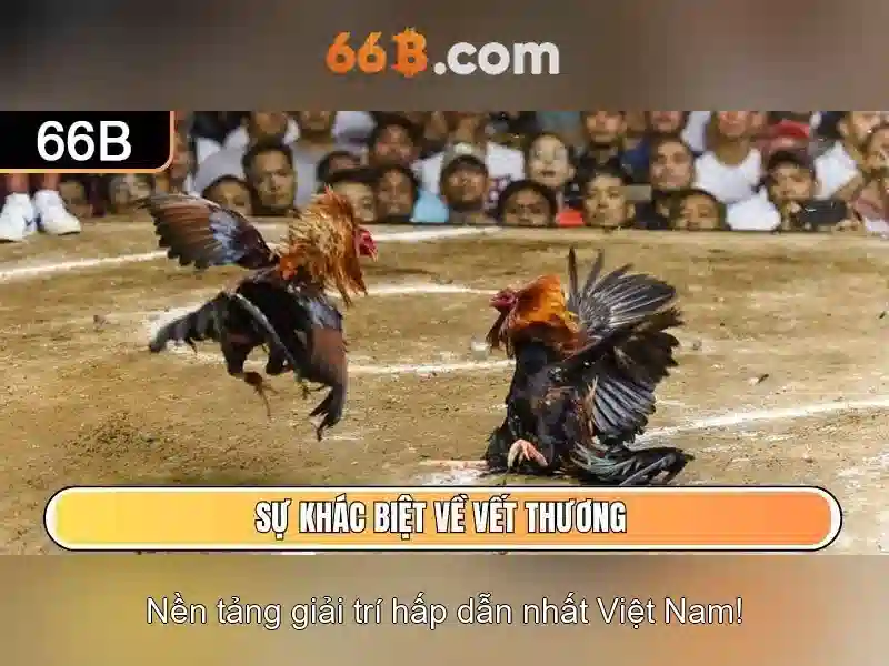 Kiến trúc và kỹ thuật