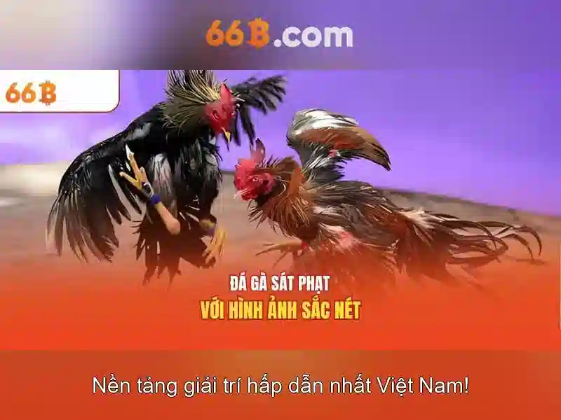 Vai trò của 66B trong AI