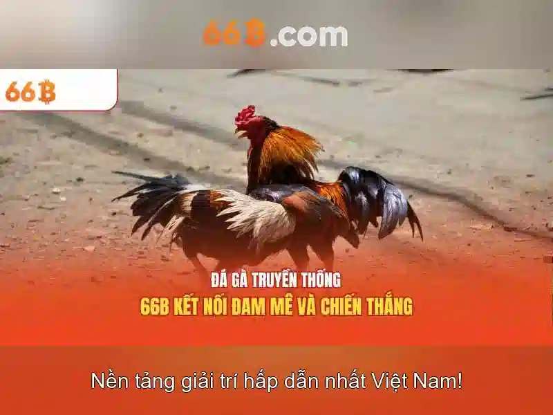 66b bus timetable – Tổng quan và giá trị cốt lõi