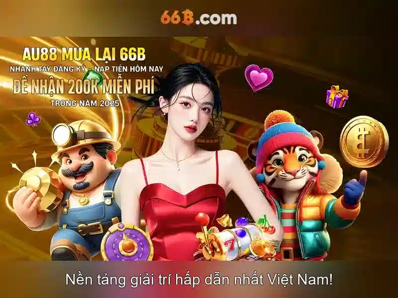 66B là gì?