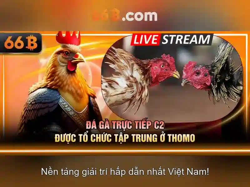Thuật ngữ bắn cá