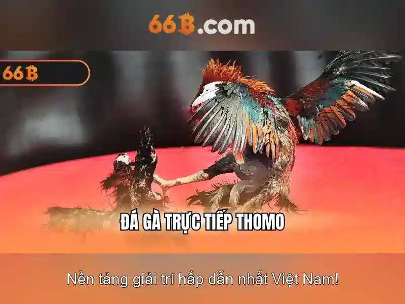Kiến trúc và tham số