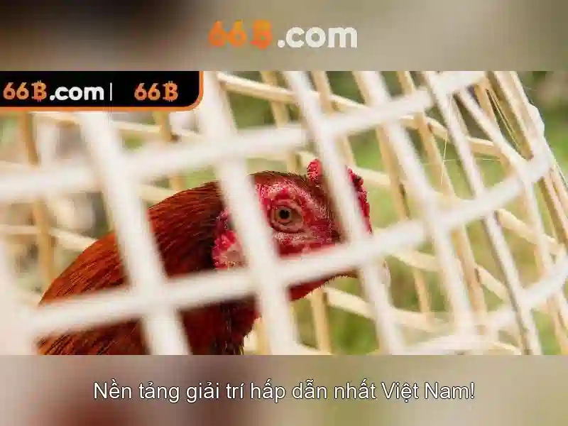 Thuật ngữ bắn cá