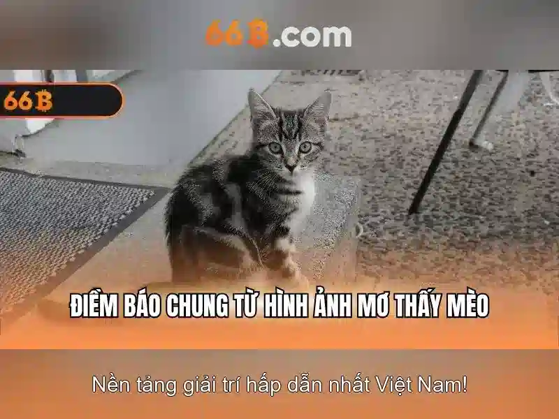 Thuật ngữ bắn cá