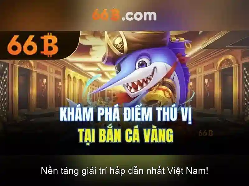 66B là gì?