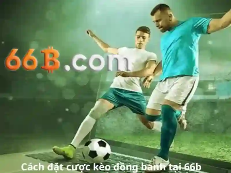 Ứng dụng của 66b