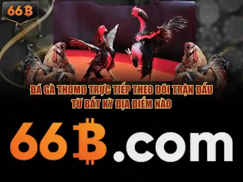 Thuật ngữ bắn cá