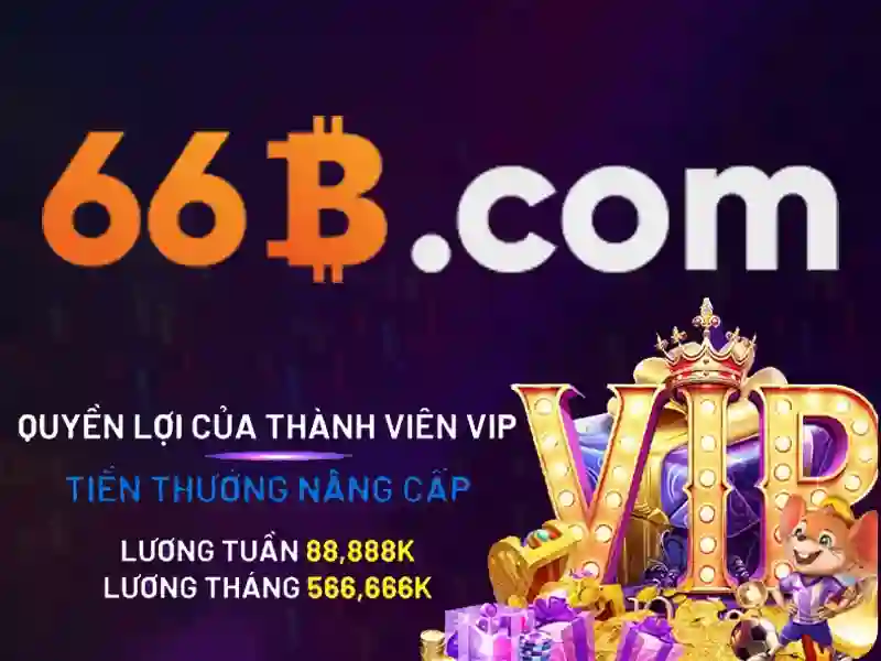 sources shein shein 66b may – tổng quan chủ đề và giá trị cốt lõi
